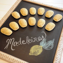 Lemon Poppy Madeleines - Recipe photo by sweetkiera