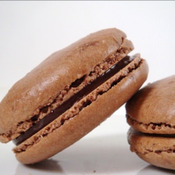 Chocolate Macaron - Recipe photo by dailydosesofsugar