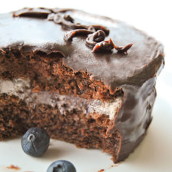 Sachertorte & Blueberry - Recipe photo by paneburroemarmellata