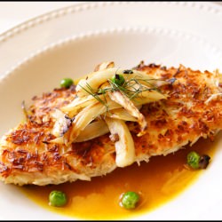 Coconut-Crusted Tilapia - Recipe photo by marysol920