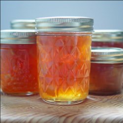Meyer Lemon Marmalade - Recipe photo by piccantedolce