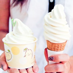 Soy Ice Cream! - Recipe photo by BigAppleNosh