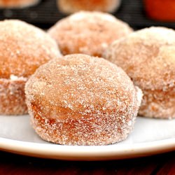 Chocolate Spice Donut Muffins - Recipe photo by TheGastronomer