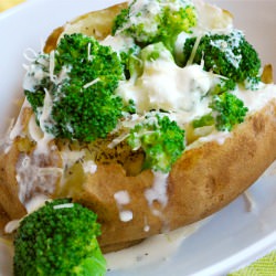 Broccoli and Alfredo Stuffed Baked - Recipe photo by asweetpeachef