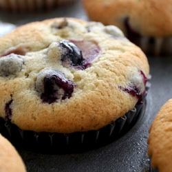 Blueberry Muffins - Recipe photo by radmegan