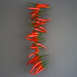 Make & Do: Chilli Strings - Recipe photo by becskr