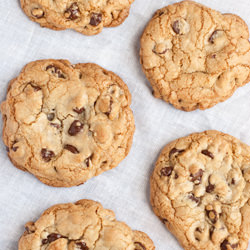 Giant Chewy Chocolate Chip Cookies - Recipe photo by mbeach