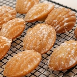 Madeleines - Recipe photo by adventuresmadefromscratch