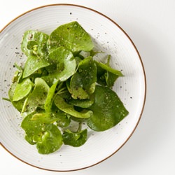 Miner's Lettuce Salad - Recipe photo by Hank_Shaw