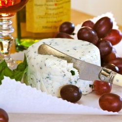 Homemade Goat Cheese - Recipe photo by julesfood