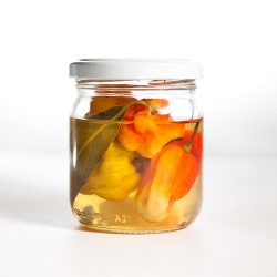 Pickled Habaneros - Recipe photo by reenap