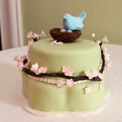 Birds Nest Baby Shower Cake - Recipe photo by sweetkiera