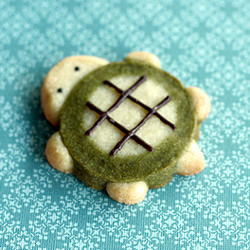 Turtle Icebox Cookies - Recipe photo by unmacaronrose