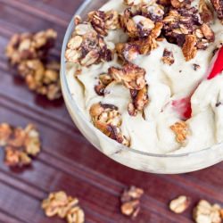Chocolate Crunch Dessert Granola - Recipe photo by ohsheglows