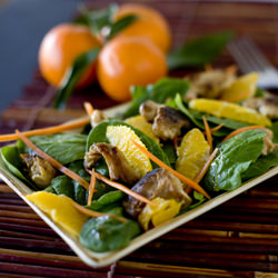 Chinese Chicken Salad - Recipe photo by Dianasaur
