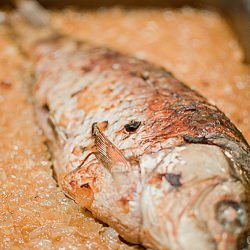 Roasted Carp - Recipe photo by diethood
