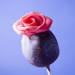 Cake Pops - Recipe photo by alma_objetivocupcake