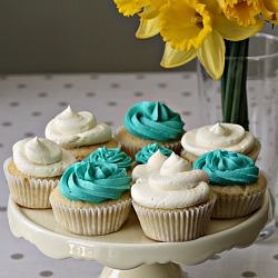 Vanilla Cupcakes - Recipe photo by adventuresmadefromscratch