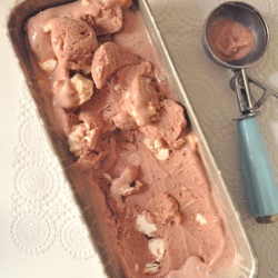 Plum, Coconut + Meringue Ice Cream - Recipe photo by emeraldandella