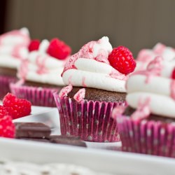 Chocolate Cupcakes - Recipe photo by ohsheglows