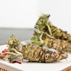 Fresh Daruma Wasabi - Recipe photo by BigAppleNosh