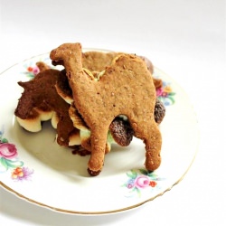 Homemade Vegan Smores - Recipe photo by cicirose