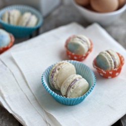 Vanilla Bean Macarons - Recipe photo by FoodforMyFamily