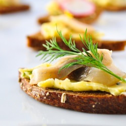 Sardine, Herring, Radish Tartines - Recipe photo by okiedokieartichokie