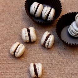 Coffee Macarons - Recipe photo by debugcooking