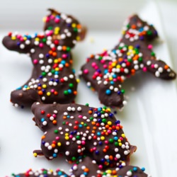 Chocolate Animal Cookies - Recipe photo by LunchboxBunch