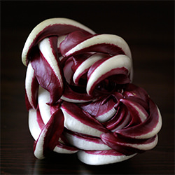 Radicchio Tardivo - Recipe photo by lilla