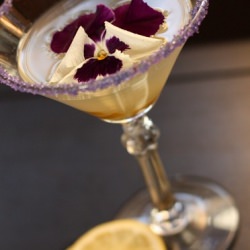 Candied Lemon Drop Martini - Recipe photo by didsomeonesayparty