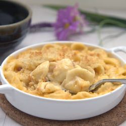 Cats 'n Cheese - Recipe photo by cakebrain