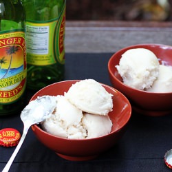 Ginger Beer, Coconut, Rum Sorbet - Recipe photo by Kitchen Konfidence