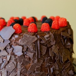 Tall, Dark, and Chocolate Cake - Recipe photo by vintagesugarcube