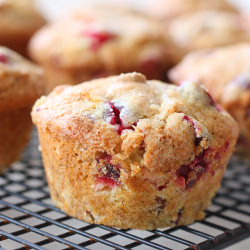 Citrusy Cranberry Orange Muffins - Recipe photo by jfoster