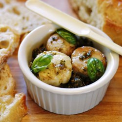 Seared Bone Marrow Medallions - Recipe photo by julesfood