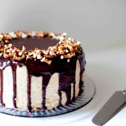 Chocolate Peanut Butter Layer Cake - Recipe photo by teacher-chef