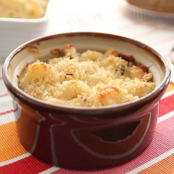 Macaroni Gratin - Recipe photo by openbook