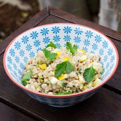 Farro, White Bean and Lemon Salad - Recipe photo by Kitchen Konfidence