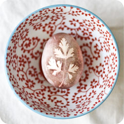 Herb Stenciled Easter Eggs - Recipe photo by ekosmas