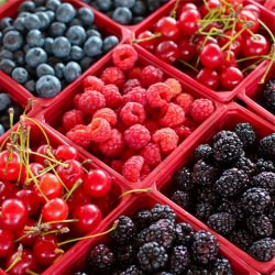 My Money Saving Shopping Tips - Recipe photo by SimpleBites