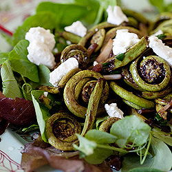 Fiddleheads and Foraging - Recipe photo by TheMeaningofPie