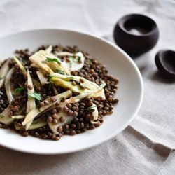Lentil and Fennel Salad - Recipe photo by nettleandquince