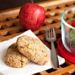Delicious Apple Bars - Recipe photo by HealthfulPursuit