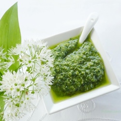 Pesto Recipe – Wild Garlic & Walnut - Recipe photo by Sudden Lunch