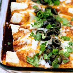 Cheese Enchiladas - Recipe photo by Shanon