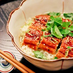 Unagi Chazuke - Recipe photo by Just One Cookbook