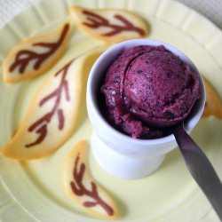 Blueberry – Banana Sorbet and Tuiles - Recipe photo by JaneAlice