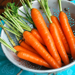 Maple Ginger Glazed Carrots - Recipe photo by asweetpeachef